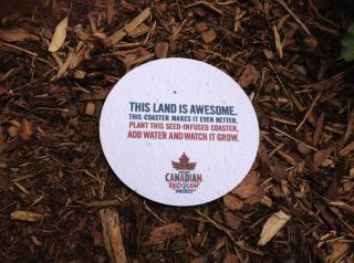 Molson Canadian: Seed Coasters